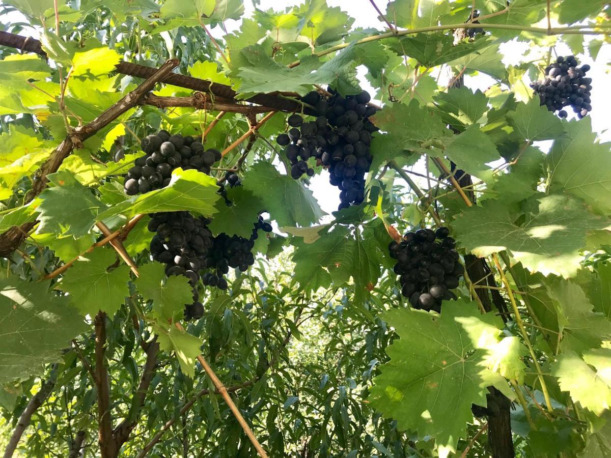 Ekas Rosengarten Gori Bagian luar foto