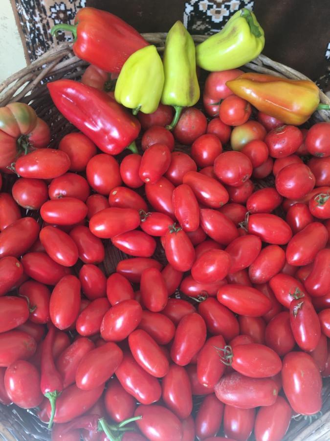 Ekas Rosengarten Gori Bagian luar foto