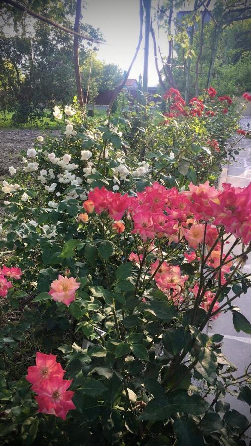 Ekas Rosengarten Gori Bagian luar foto