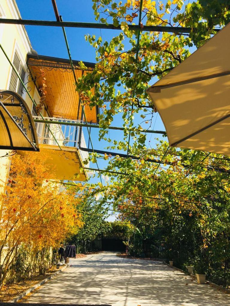 Ekas Rosengarten Gori Bagian luar foto