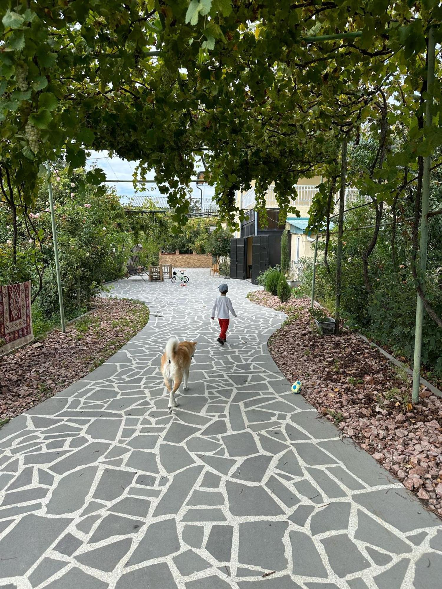 Ekas Rosengarten Gori Bagian luar foto